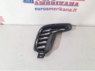 Fascia Grille, Right